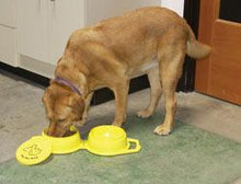 Load image into Gallery viewer, Travel Pet Dish